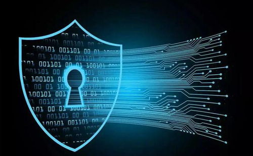 堅持防御型投資在互聯(lián)網(wǎng)信息服務領域的價值與回報