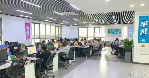 互聯(lián)網(wǎng)信息服務(wù)公司的典型虧錢(qián)案例剖析